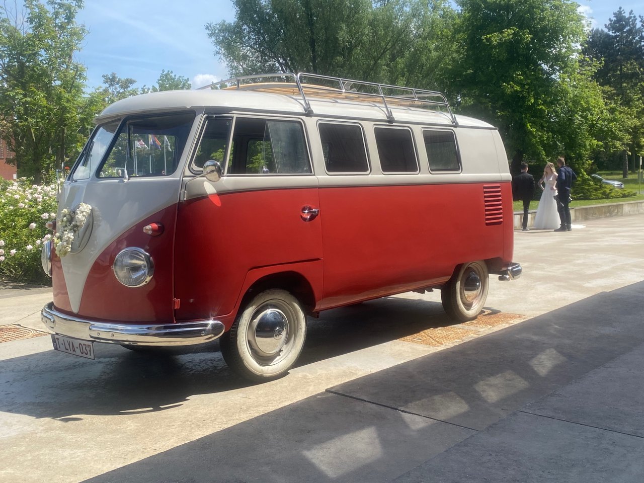 VW T1 1956